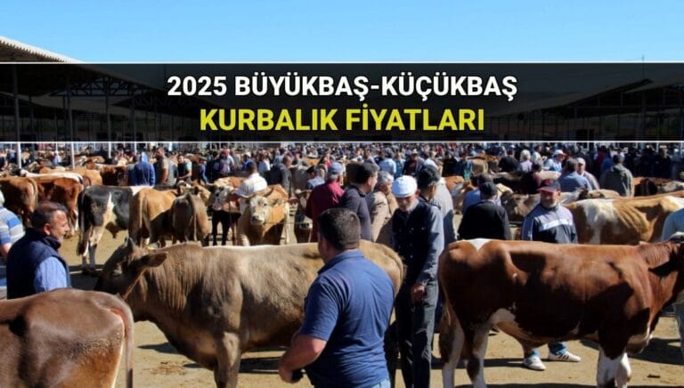 2025 Kurban fiyatları büyükbaş-küçükbaş: Kilogram ve hisseli kurbanlık fiyatı ne kadar? 2025 Kurban fiyatları büyükbaş-küçükbaş: Kilogram ve hisseli kurbanlık fiyatı ne kadar?
