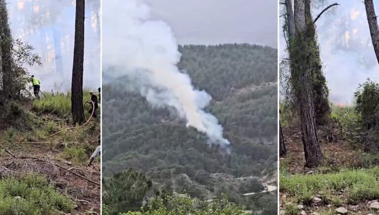 Antalya’da orman yangını: Ekipler alevlere müdahale ediyor Antalya’da orman yangını: Ekipler alevlere müdahale ediyor