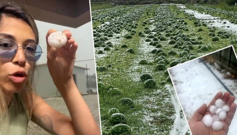 Antalya’yı dolu ve hortum vurdu, yaşanan durumu gözyaşlarıyla anlattı Antalya’yı dolu ve hortum vurdu, yaşanan durumu gözyaşlarıyla anlattı