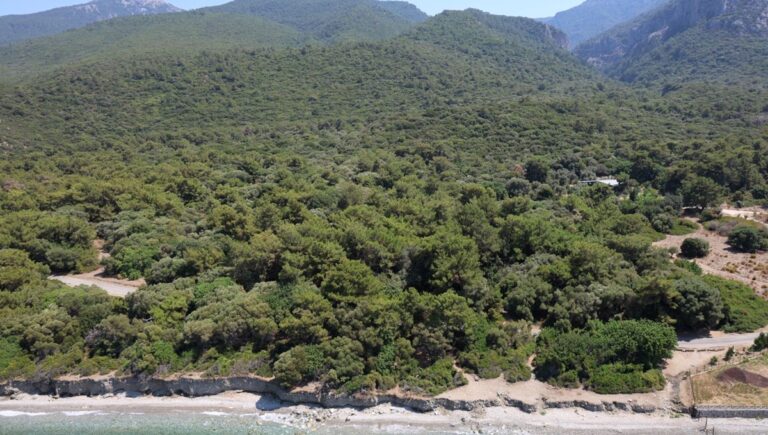 Aydın’da ormanlara giriş yasağı