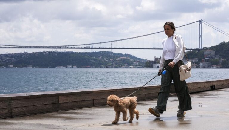 Bahar yerini kışa ve yağışlı havaya bırakacak: Hafta sonuna dikkat!