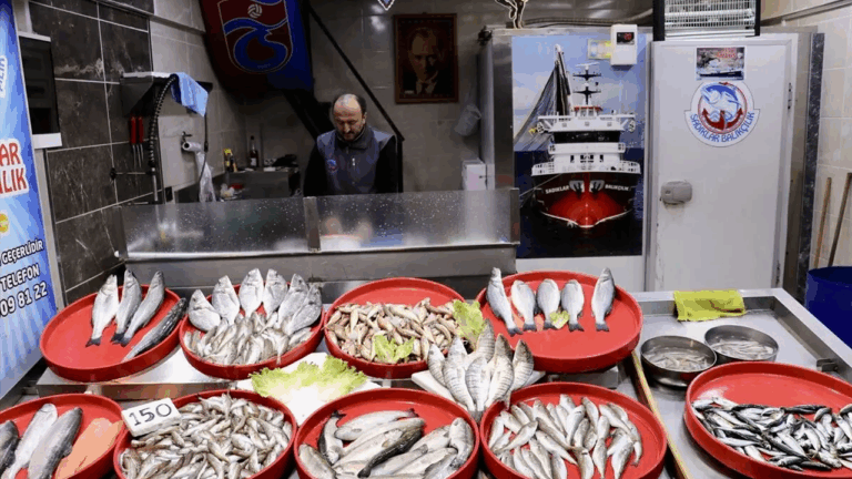 Balıkçı tezgahlarında çeşitlilik sürüyor