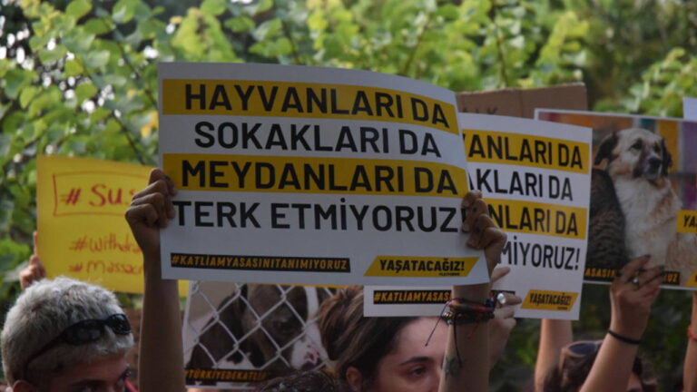 ‘Direne direne yaşatacağız’ ‘Direne direne yaşatacağız’