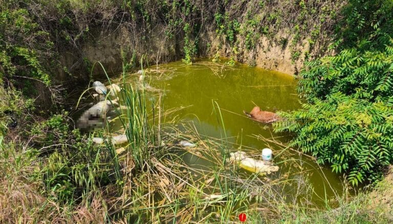 Edirne’de vahşet: Su dolu çukurda başsız 3 köpek bulundu! Edirne’de vahşet: Su dolu çukurda başsız 3 köpek bulundu!