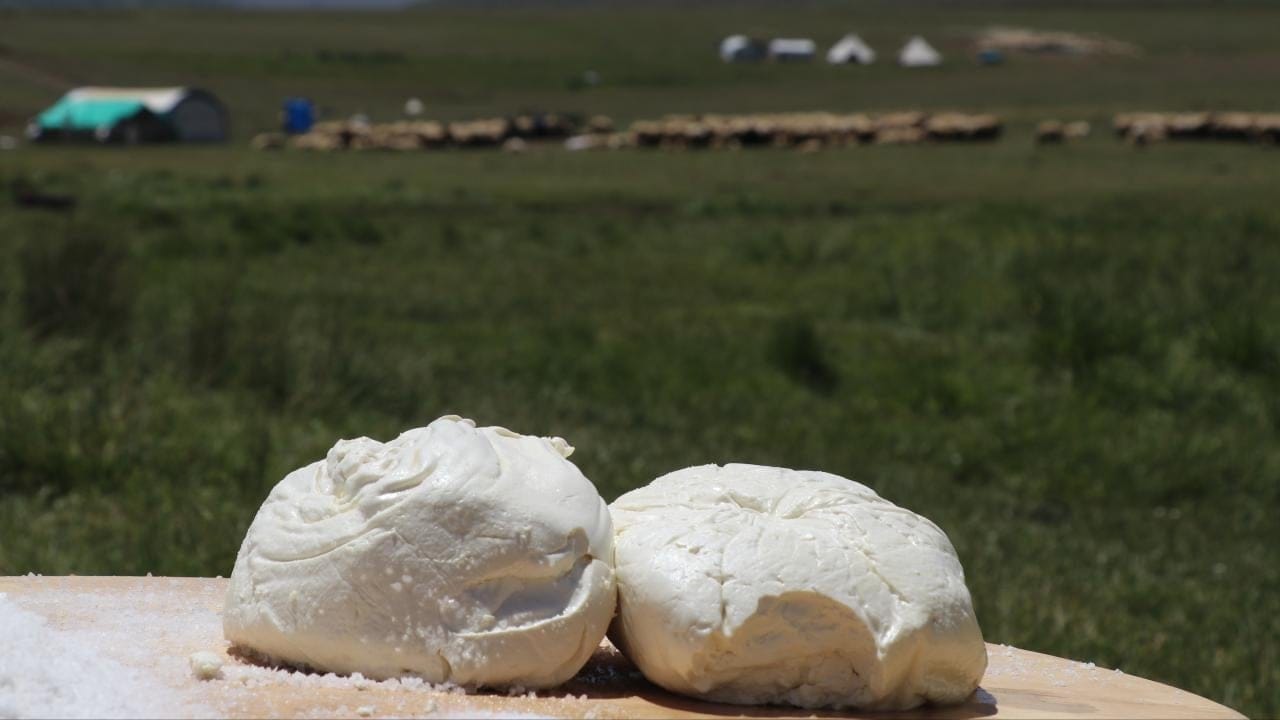 Erzincan Tulum Peyniri’ne AB’den coğrafi işaret tescili! Erzincan Tulum Peyniri’ne AB’den coğrafi işaret tescili!