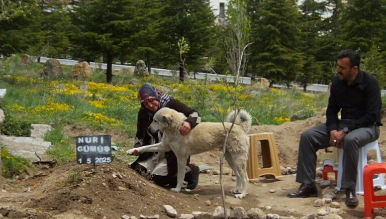 Garip adlı köpek, sahibinin mezarının başından ayrılmıyor: ”Sanki bize bir şeyler anlatıyor gibi”