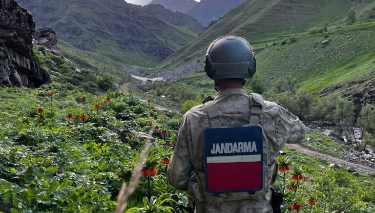 Hakkari’de açan ters laleleri jandarma koruyor