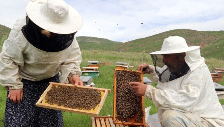 Hobi olarak başladı eşine ve kardeşine öğretti: Gece gündüz demeden üretiyorlar Hobi olarak başladı eşine ve kardeşine öğretti: Gece gündüz demeden üretiyorlar