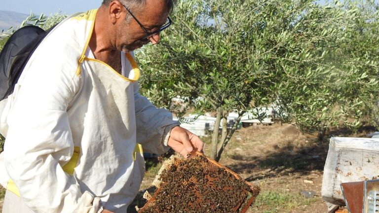 İlham veren başarı hikayesi! Annesi için başladı, tonlarca bal üretiyor