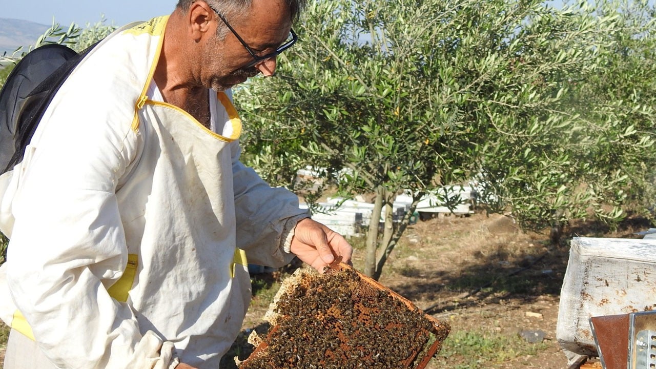 İlham veren başarı hikayesi! Annesi için başladı, tonlarca bal üretiyor