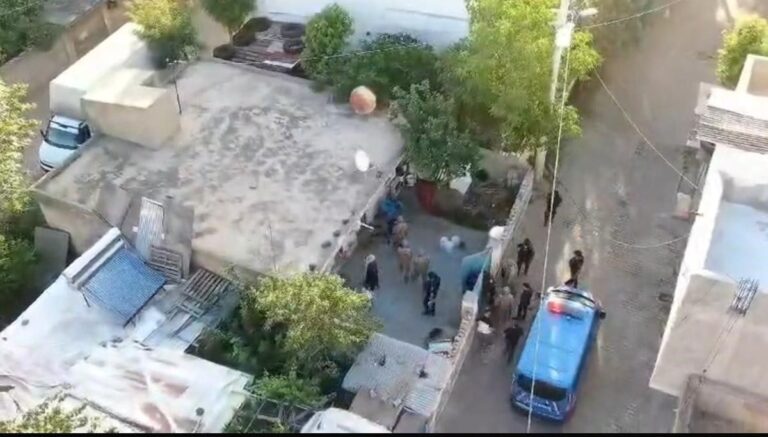Jandarmanın “Daltonlar” operasyonunda 3 tutuklama Jandarmanın “Daltonlar” operasyonunda 3 tutuklama