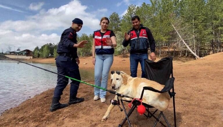 Jandarmanın takip köpeği “Dost” emekliye ayrıldı Jandarmanın takip köpeği “Dost” emekliye ayrıldı