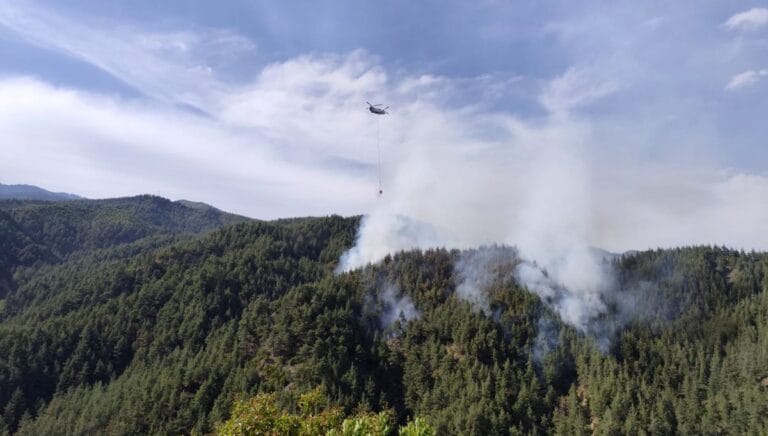 Kahramanmaraş’ta orman yangını Kahramanmaraş’ta orman yangını