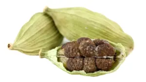 Kakule kalbi koruyor kanserle savaşıyor
