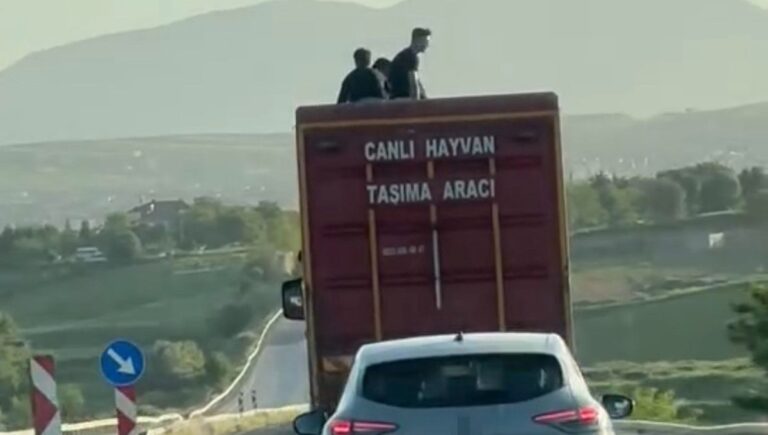 Kamyonun üzerinde tehlikeli yolculuk