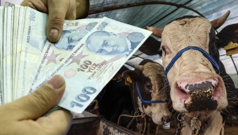 Memur ve emekli maaşları bayramdan önce yatar mı? 2025 Haziran ayı memur ve emekli maaşı ödeme günleri Memur ve emekli maaşları bayramdan önce yatar mı? 2025 Haziran ayı memur ve emekli maaşı ödeme günleri