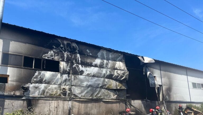 Sakarya’da kontrplak üretim tesisinde yangın Sakarya’da kontrplak üretim tesisinde yangın