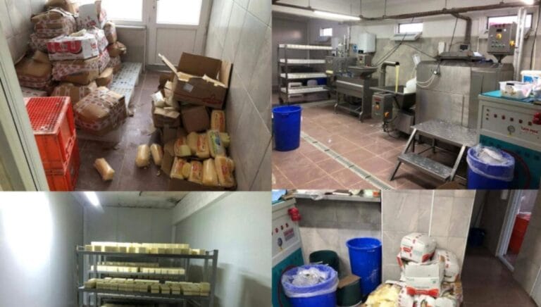 Sakarya’da merdiven altı tesise baskın: 1,5 milyonluk sahte kaşar ele geçirildi Sakarya’da merdiven altı tesise baskın: 1,5 milyonluk sahte kaşar ele geçirildi