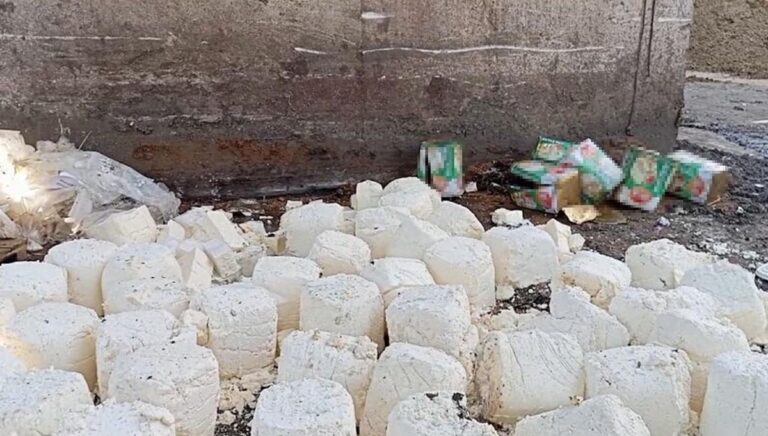 Soğuk hava deposunda 7 ton bozuk süt ürünü ele geçirildi