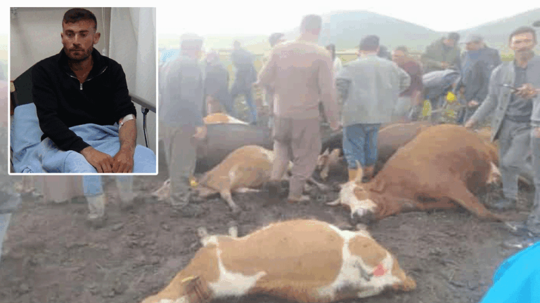 Sürünün üzerine yıldırım düştü: 2 çoban bayıldı, 10 hayvan telef oldu