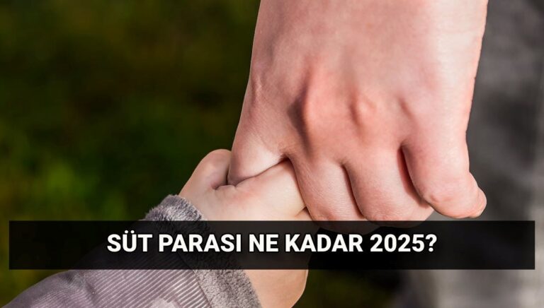 Süt parası ne kadar 2025?: Emzirme/süt parası başvuru şartları neler, her ay ödenir mi?