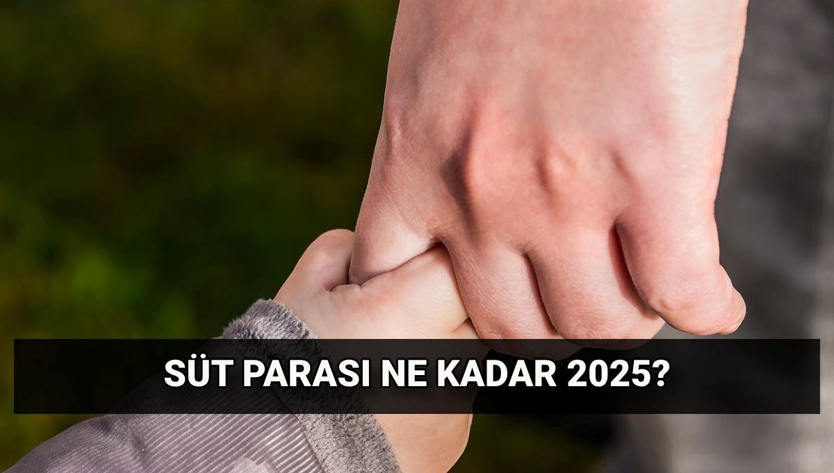 Süt parası ne kadar 2025?: Emzirme/süt parası başvuru şartları neler, her ay ödenir mi?