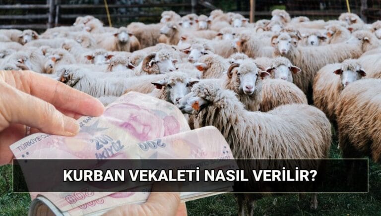Vekaletle kurban kesilir mi, kurban vekaleti nasıl verilir? Diyanet vekaletle kurban kesim bedeli ne kadar? Vekaletle kurban kesilir mi, kurban vekaleti nasıl verilir? Diyanet vekaletle kurban kesim bedeli ne kadar?