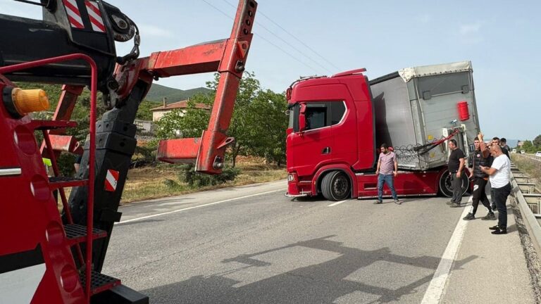 Yüzlerce araç yolda kaldı! Tır şoförünü arı soktu, karayolu savaş alanına döndü