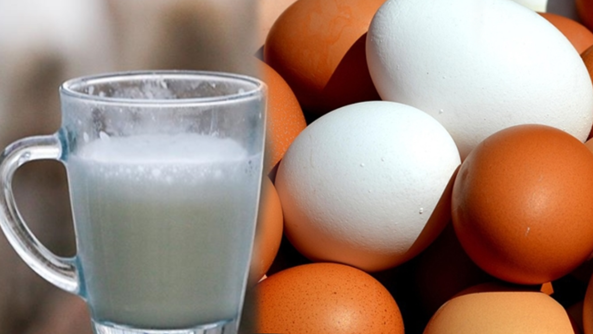 1 bardağı 20 yumurtaya bedel: Bu süt sadece 5 ilimizde var 1 bardağı 20 yumurtaya bedel: Bu süt sadece 5 ilimizde var