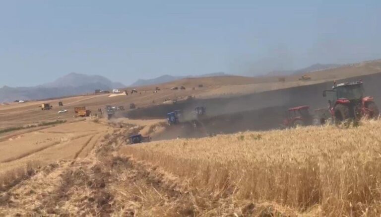 350 dönümlük buğday tarlası yandı 350 dönümlük buğday tarlası yandı