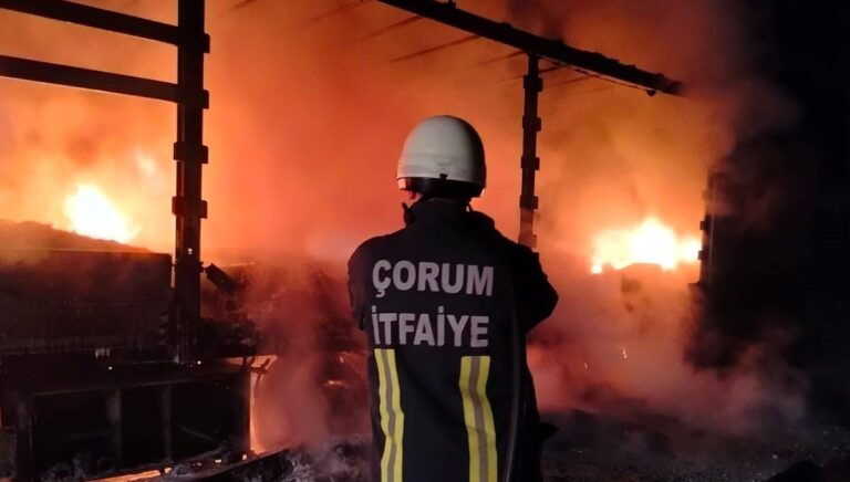 Çorum’da TIR’ın dorsesi alev alev yandı Çorum’da TIR’ın dorsesi alev alev yandı