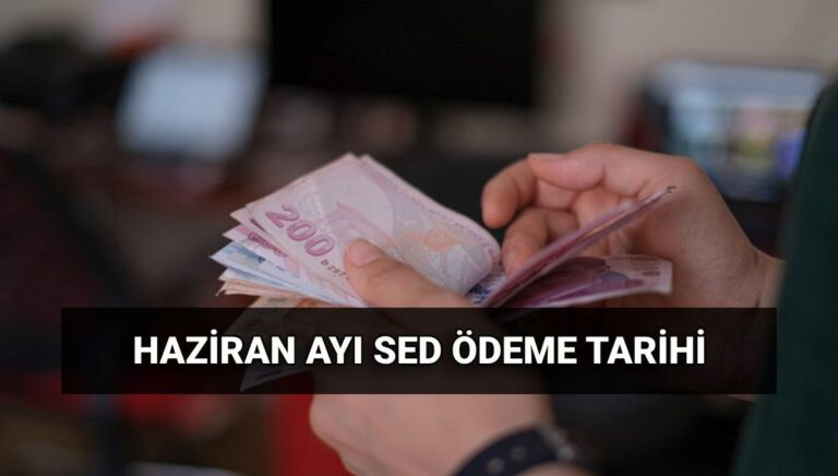 Haziran SED ödeme tarihi 2025: Sosyal ve Ekonomik Destek (SED) ödemeleri ne kadar, ne zaman yatar? Haziran SED ödeme tarihi 2025: Sosyal ve Ekonomik Destek (SED) ödemeleri ne kadar, ne zaman yatar?