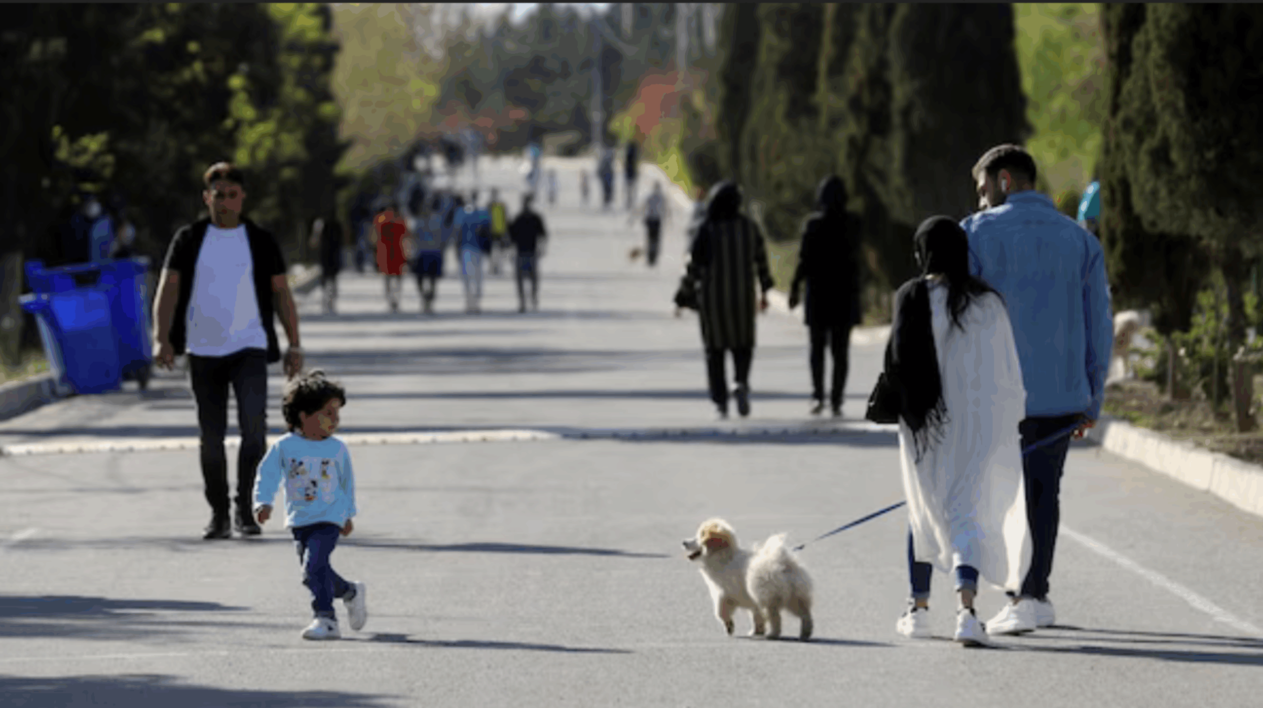 İran’a yasak yetmedi, şimdi de köpek gezdimek yasak İran’a yasak yetmedi, şimdi de köpek gezdimek yasak