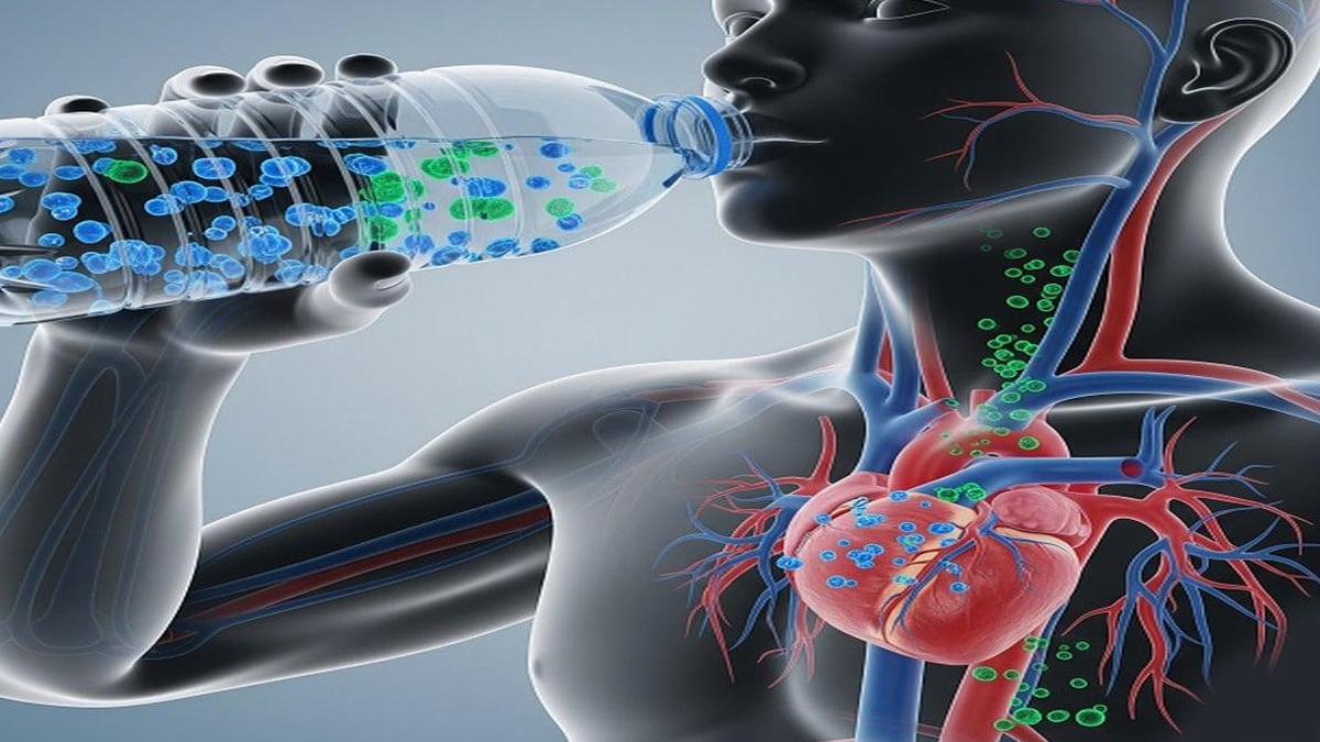 Kalbinizde plastik olabilir mi? Uzmanından kritik açıklama Kalbinizde plastik olabilir mi? Uzmanından kritik açıklama