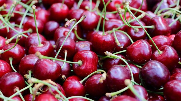 Kiraz altınla yarışıyor: Tanesi 10 TL, kilosu 500 TL! Kiraz altınla yarışıyor: Tanesi 10 TL, kilosu 500 TL!