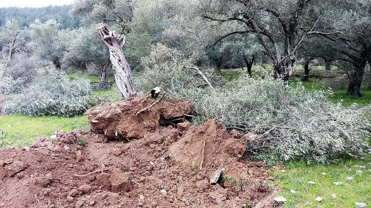 Madencilerin değil köylünün sesi olun Madencilerin değil köylünün sesi olun