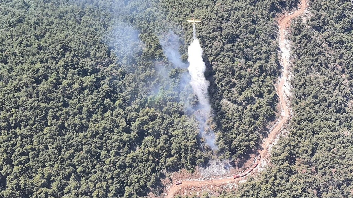 Manisa’da orman yangını: 4 saatte söndürüldü Manisa’da orman yangını: 4 saatte söndürüldü