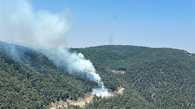 Manisa’da orman yangını Manisa’da orman yangını