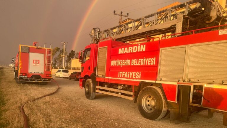 Mardin’de çıkan yangında 350 dönüm buğday ekili alan zarar gördü Mardin’de çıkan yangında 350 dönüm buğday ekili alan zarar gördü