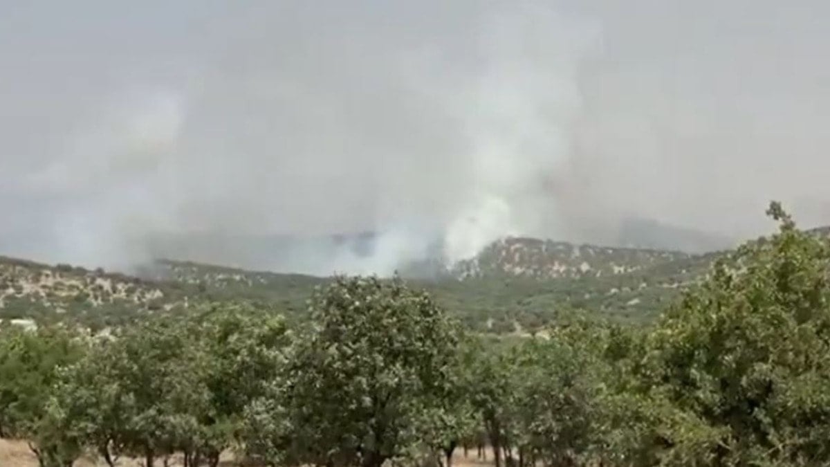 Mardin’de orman yangını Mardin’de orman yangını