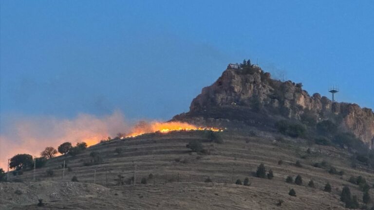 Mardin’de tarihi kale eteklerinde yangın! Mardin’de tarihi kale eteklerinde yangın!