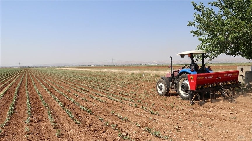 Tarım, gıda ve içecek sektöründen ilk çeyrek ihracatı Tarım, gıda ve içecek sektöründen ilk çeyrek ihracatı