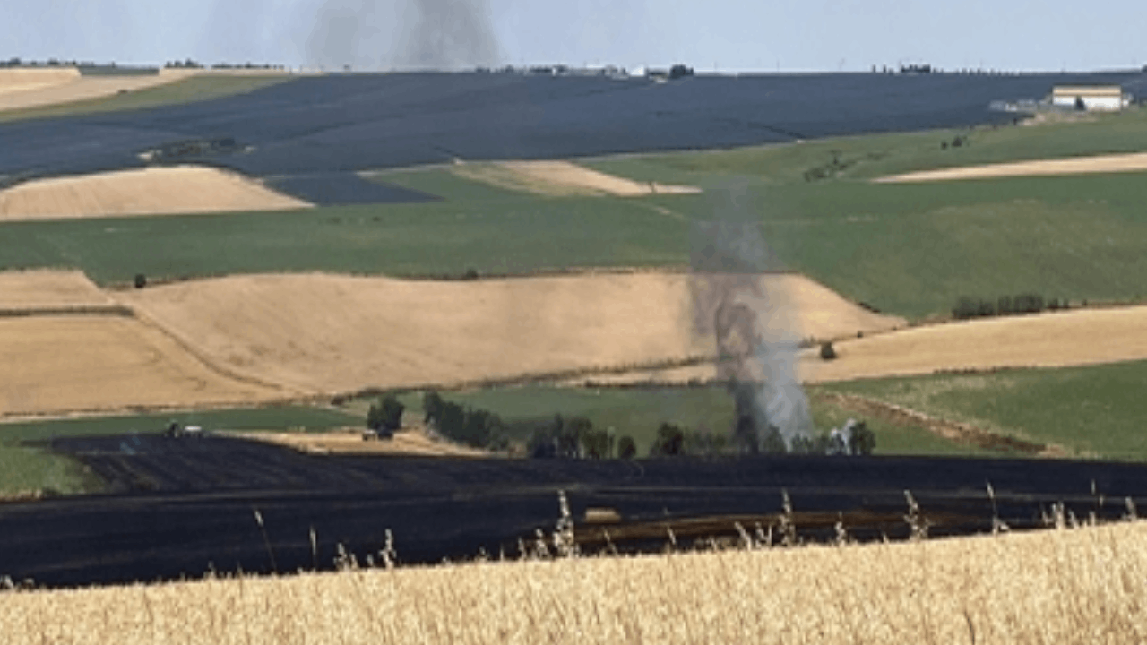 Tekirdağ’da 70 dönüm buğday yandı Tekirdağ’da 70 dönüm buğday yandı