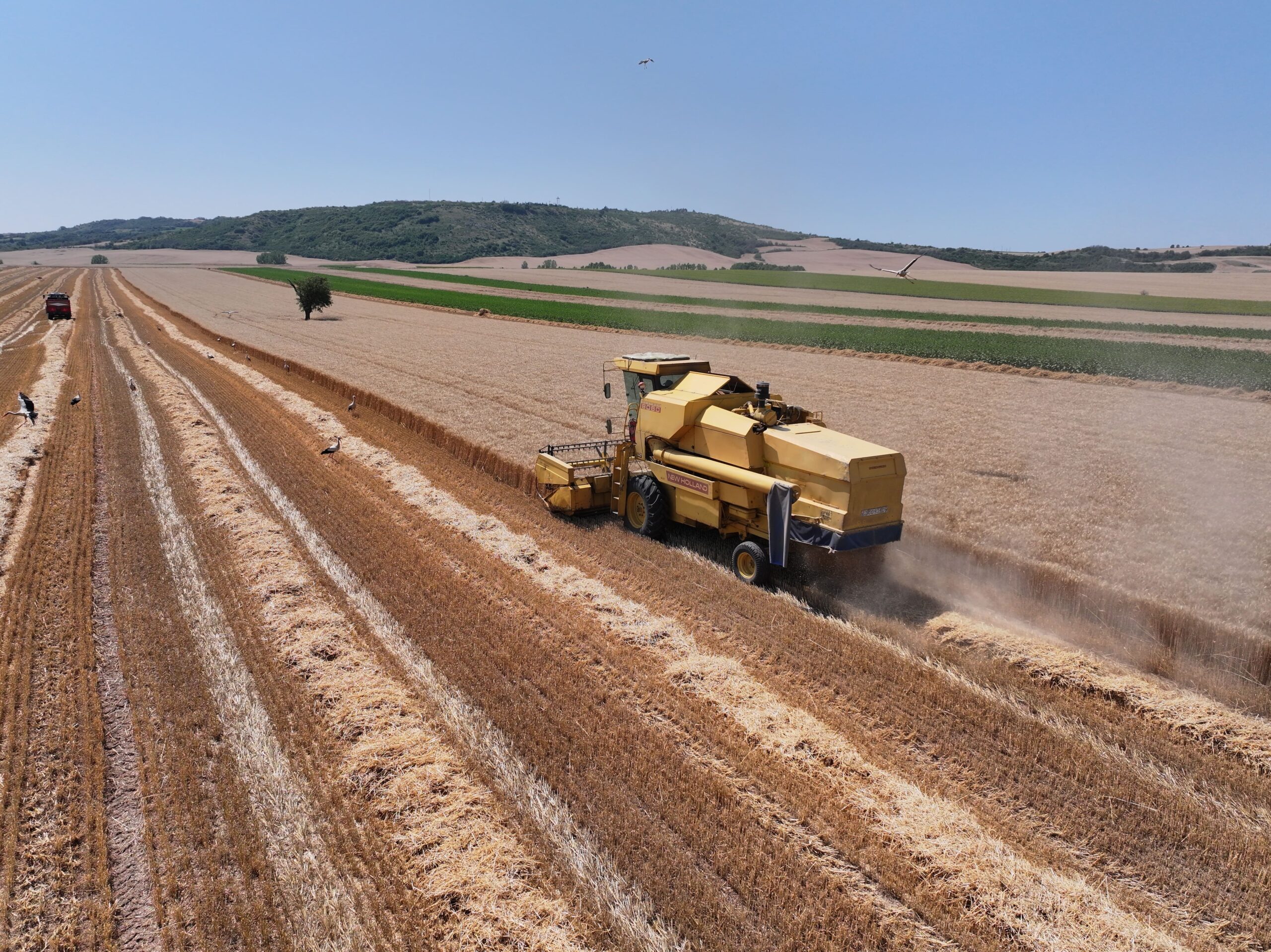Üreticinin enflasyonu yıllık yüzde 28,96 arttı Üreticinin enflasyonu yıllık yüzde 28,96 arttı