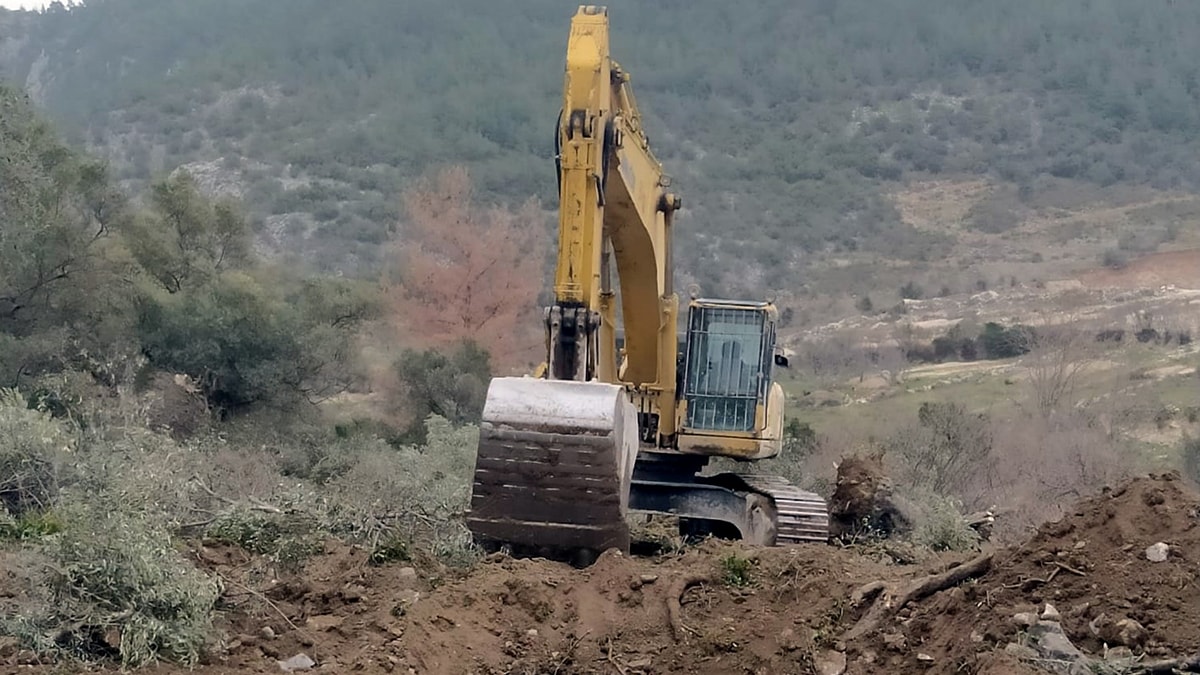 Zeytinlik katliamı belgelendi Zeytinlik katliamı belgelendi