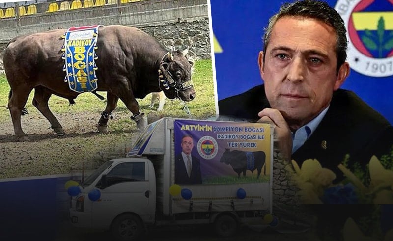 Ali Koç’un boğası Artvin’de kaybetti Ali Koç’un boğası Artvin’de kaybetti