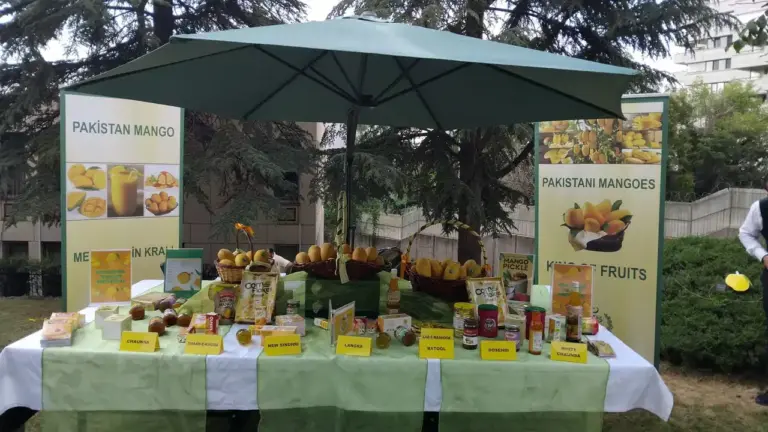Ankara’da Pakistan Mango Festivali düzenlendi Ankara’da Pakistan Mango Festivali düzenlendi