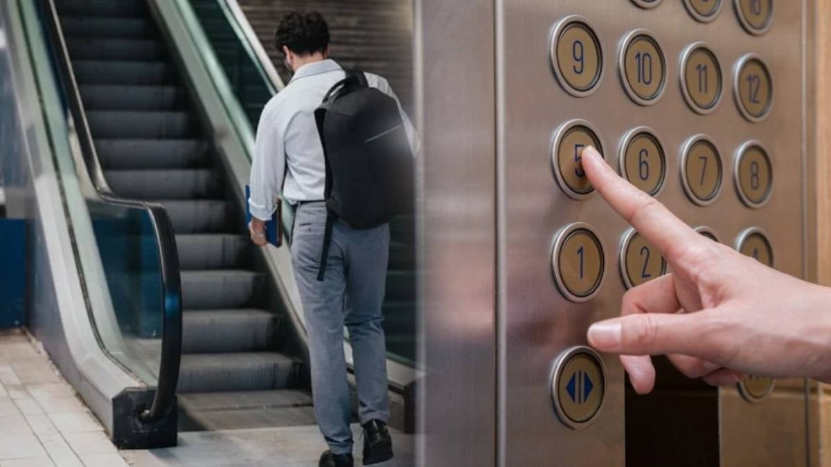 Avrupa’da ilk 5’e girmişti: Türkiye’nin 30 yıllık asansör ve yürüyen merdiven firması iflasın eşiğinde Avrupa’da ilk 5’e girmişti: Türkiye’nin 30 yıllık asansör ve yürüyen merdiven firması iflasın eşiğinde