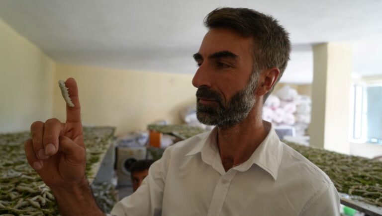 “Böcekle mi uğraşacaksın” diyenlere aldırmadı, binlerce lira kazandı “Böcekle mi uğraşacaksın” diyenlere aldırmadı, binlerce lira kazandı