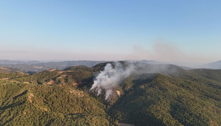 Bolu’da orman yangını çıktı Bolu’da orman yangını çıktı